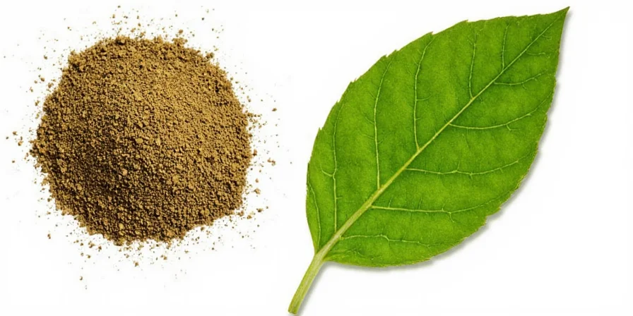 Homemade Italian herb spice blend in a glass jar