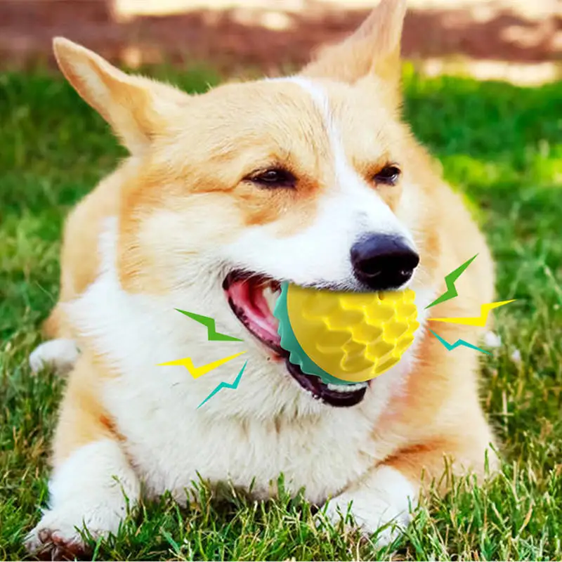 

Superior Quality Eco Friendly Pet Dog Toys Luxury Dog Toy Indestructible
