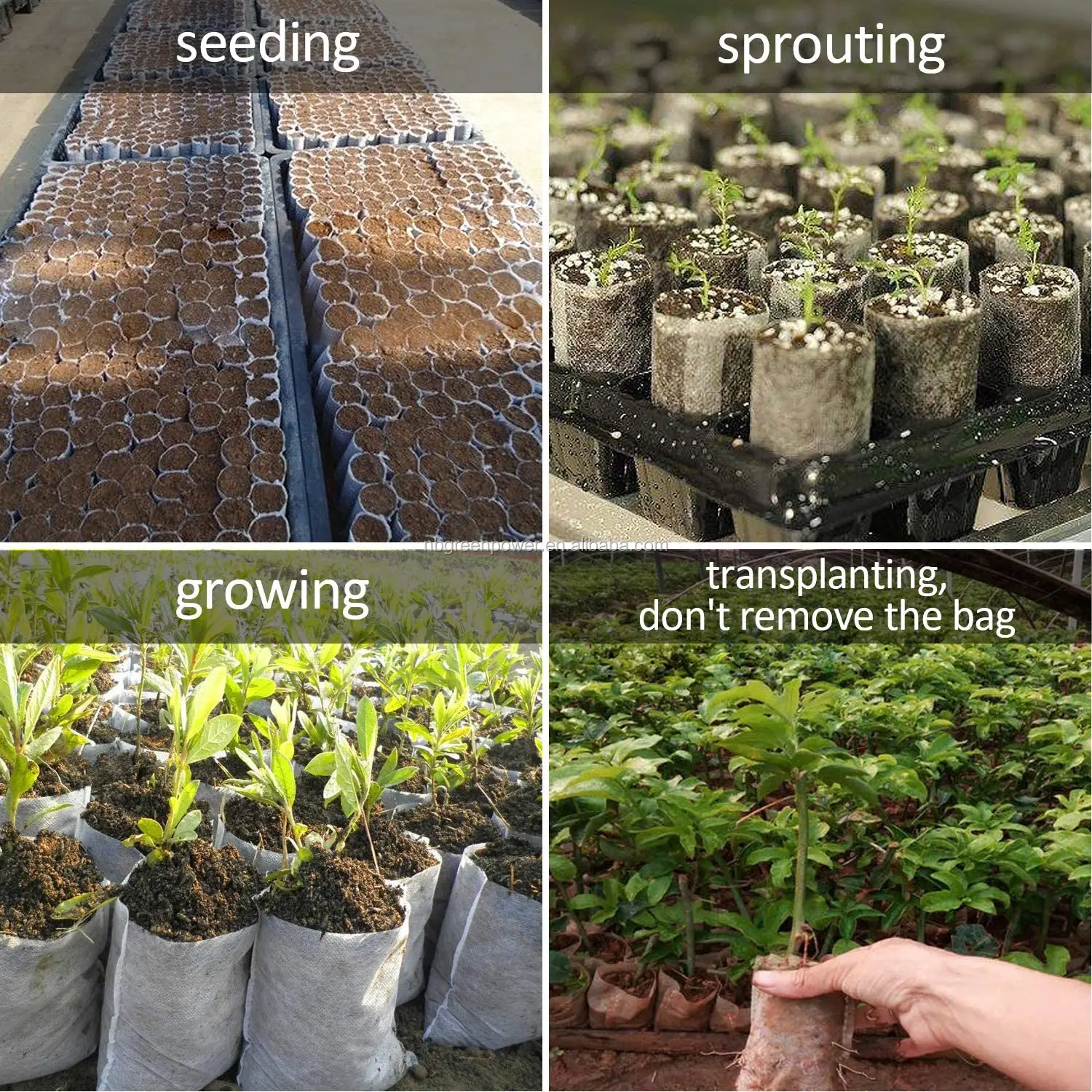 Plastic Planting Seedling Bag Poly Grow Bag Custom Nursery Bag Buy Pe Plastic Nursery Bags