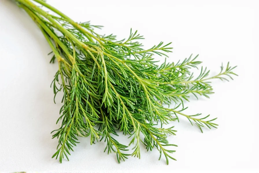 Fennel Seeds Bag