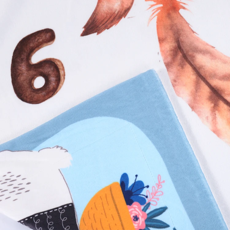 
2019 Amazon Hot Sale New Design Double Sided Different Pattern 2-Ply Babies Milestone Super Soft Fleece Baby Blanket 