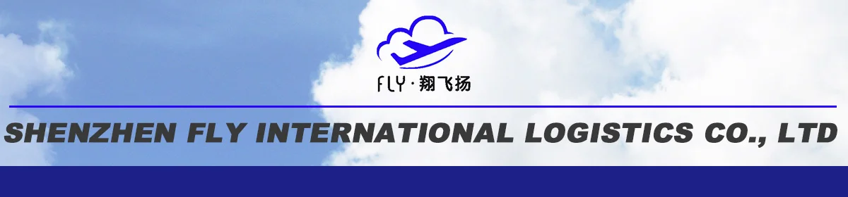 Fly international