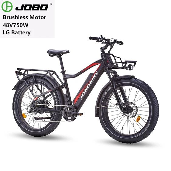 

eu warehouse electric bike 48V 250W motor fat tire 26*4.0 electric mountain bike, Customized