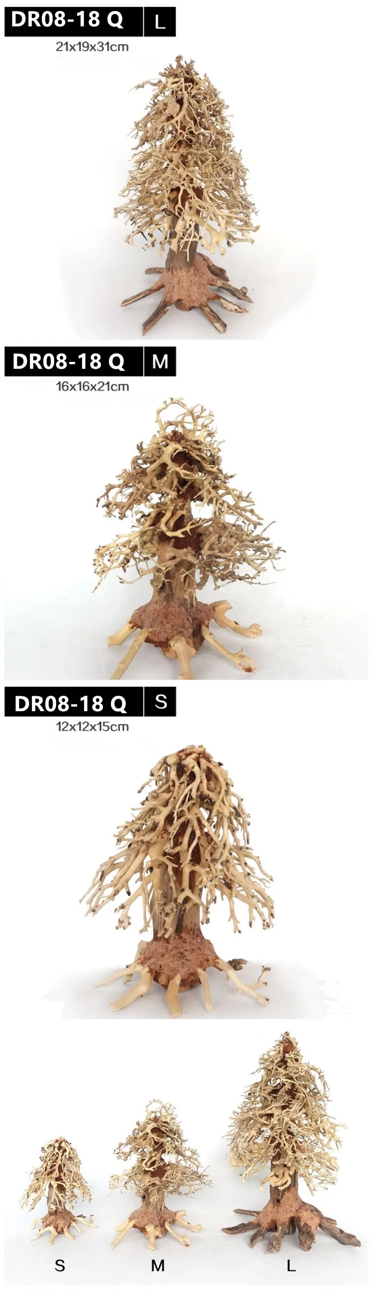 DR08-18 Q .jpg