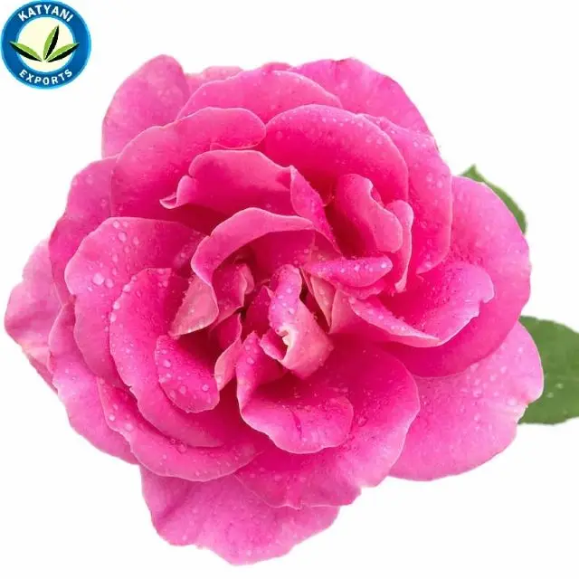 
100 % Organic Natural & Pure Attar Gulab (Rose)/ Best Pure Attar Gulab (Rose) 