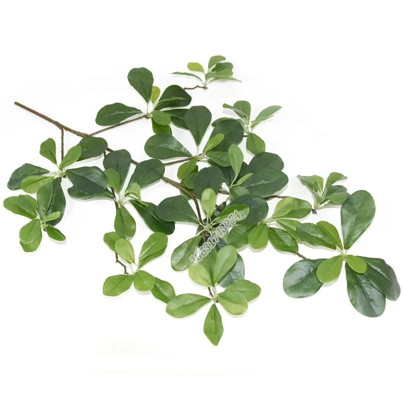 
Factory Wholesale cheap and Realistic artificial Pittosporum fake leaves for event decoration 
