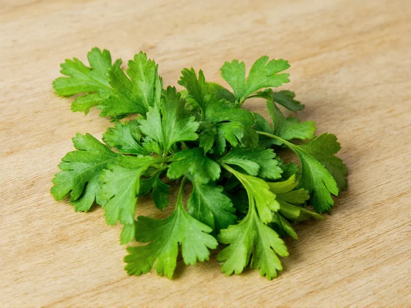Dried Cilantro to Fresh: Perfect Conversion Ratio Guide