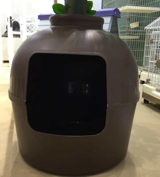 Planting Cat Litter Box Pot With Flowers Buy Planting Cat Litter Box