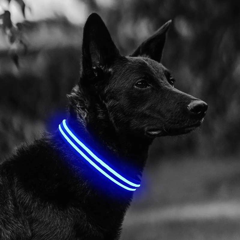 

LED pet dog collar for sale, Red yellow blue green orange white pink rgb