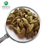 Food Flavor/Sprice Green Cardamom Seed Extract