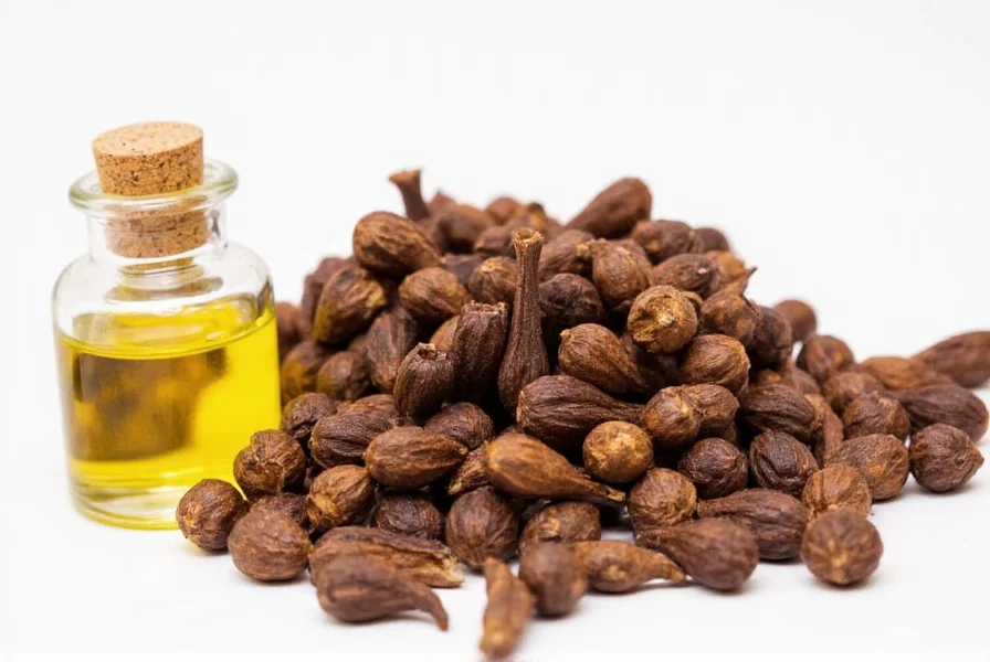 where to get clove oil