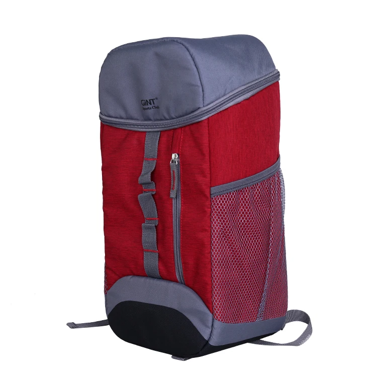 

Portable women backpack for outdoor activity 600D PU EPE foam backpack cooler bag 19 L multi function wholesale positive ion, Customized