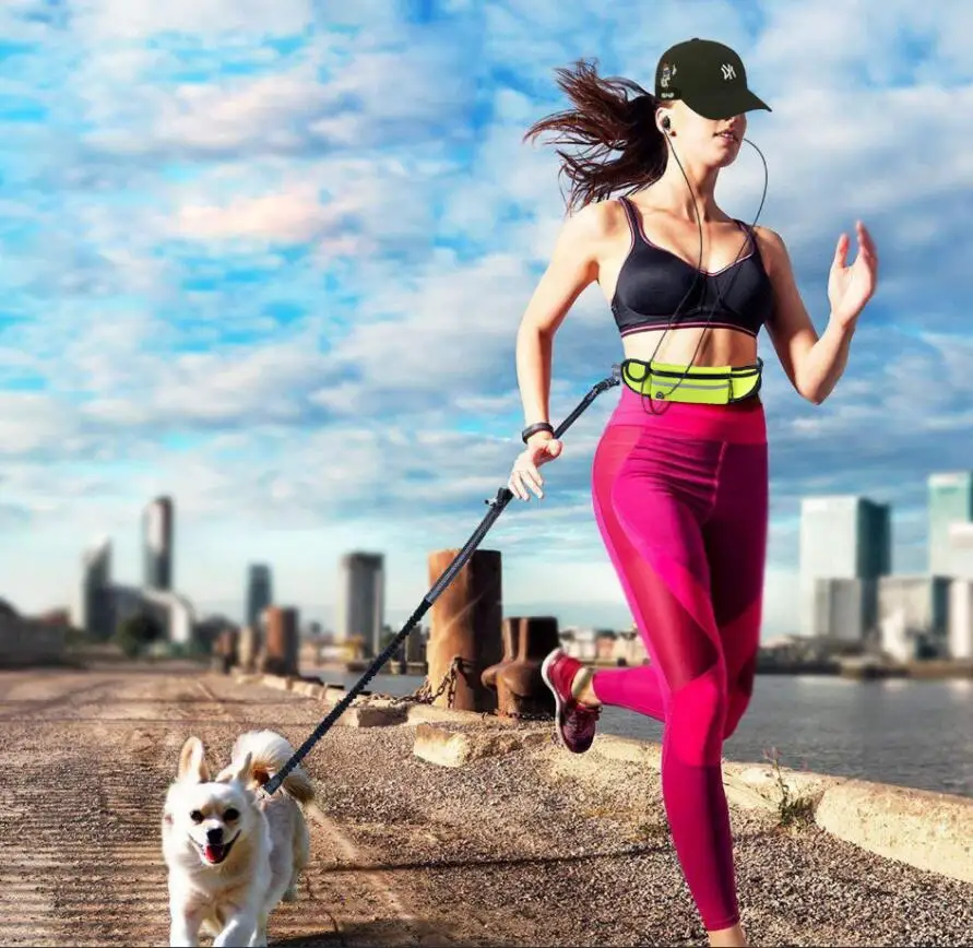 Leash 1.jpg