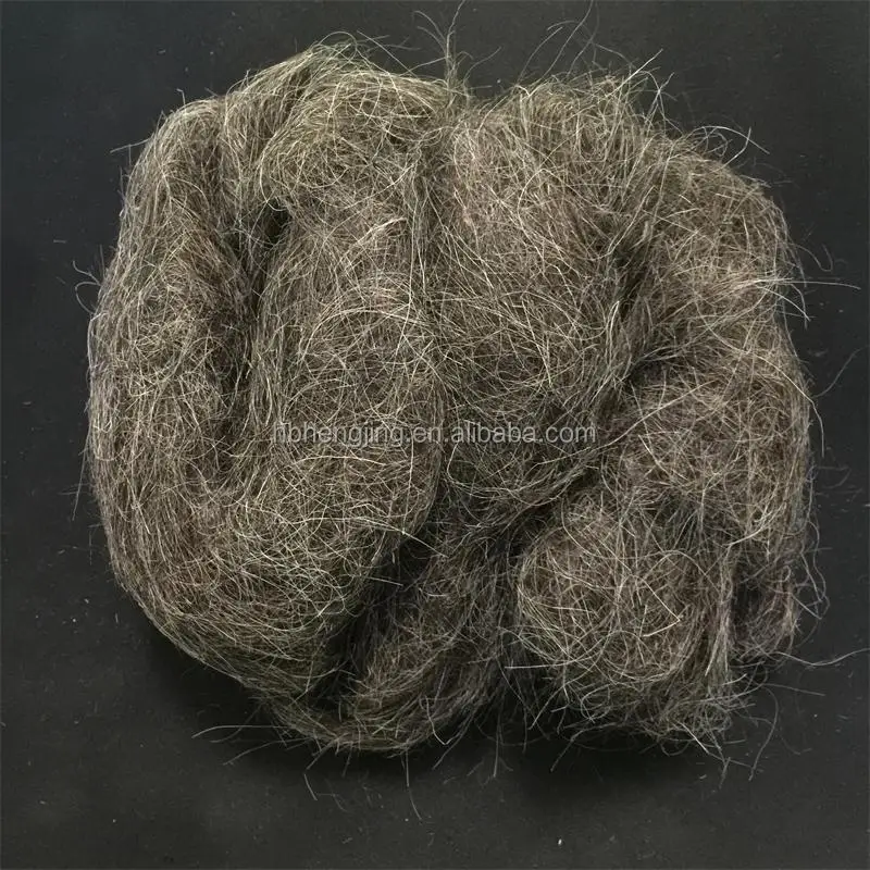 grey goat 5.JPG