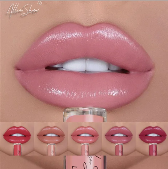 

Factory wholesale hot selling low moq non stick waterproof lipuid matte lipstick cruelty free beauty cosmetic