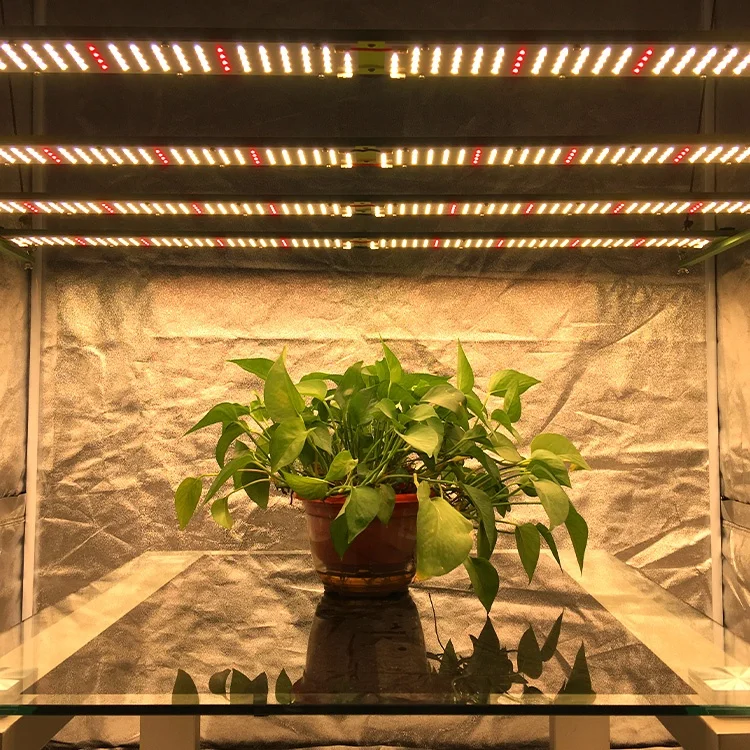 Kingbrite 480W Samsung LM301H bar with deep red Epistar 660nm bar Grow light for Grow Tent 4*4 ft