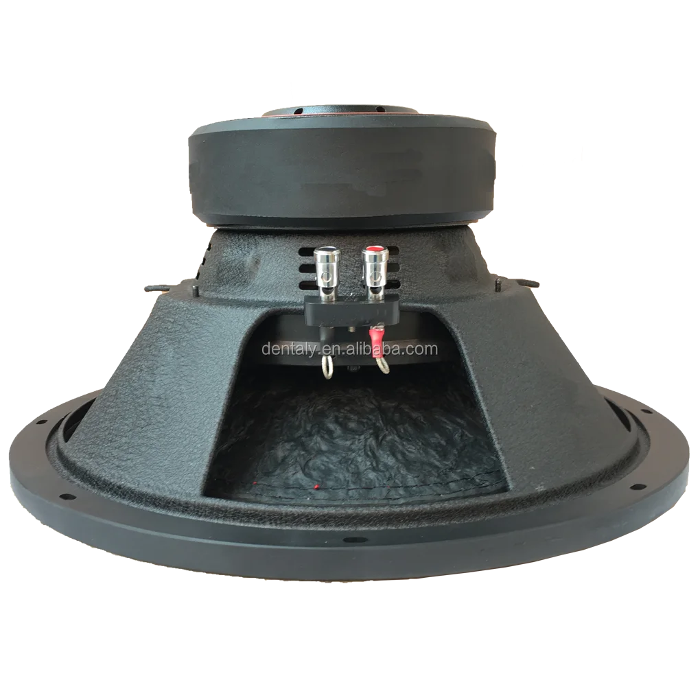 big magnet subwoofers