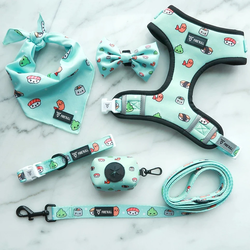 

Factory Wholesale Ins Style Dog Leash Set Dog Walking Leash Chest Strap Undershirt Type