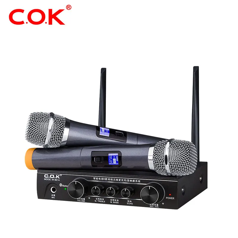 

Professional FM UHF Double Wireless Handheld Karaoke Microphone With Blue tooth