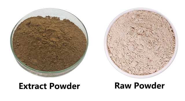 Hongda 40% Flavones Kudzu Root Pueraria Mirifica Extract Powder ...
