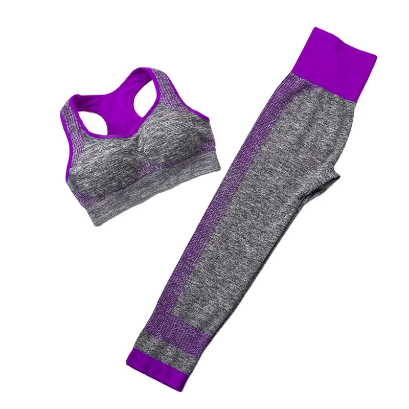 

New Fashion Short Sleeve Women's Seamless yoga tight leggings fitness set