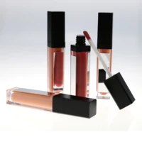 

lip gloss with led light and mirror private label lipstick liquid shiny colors