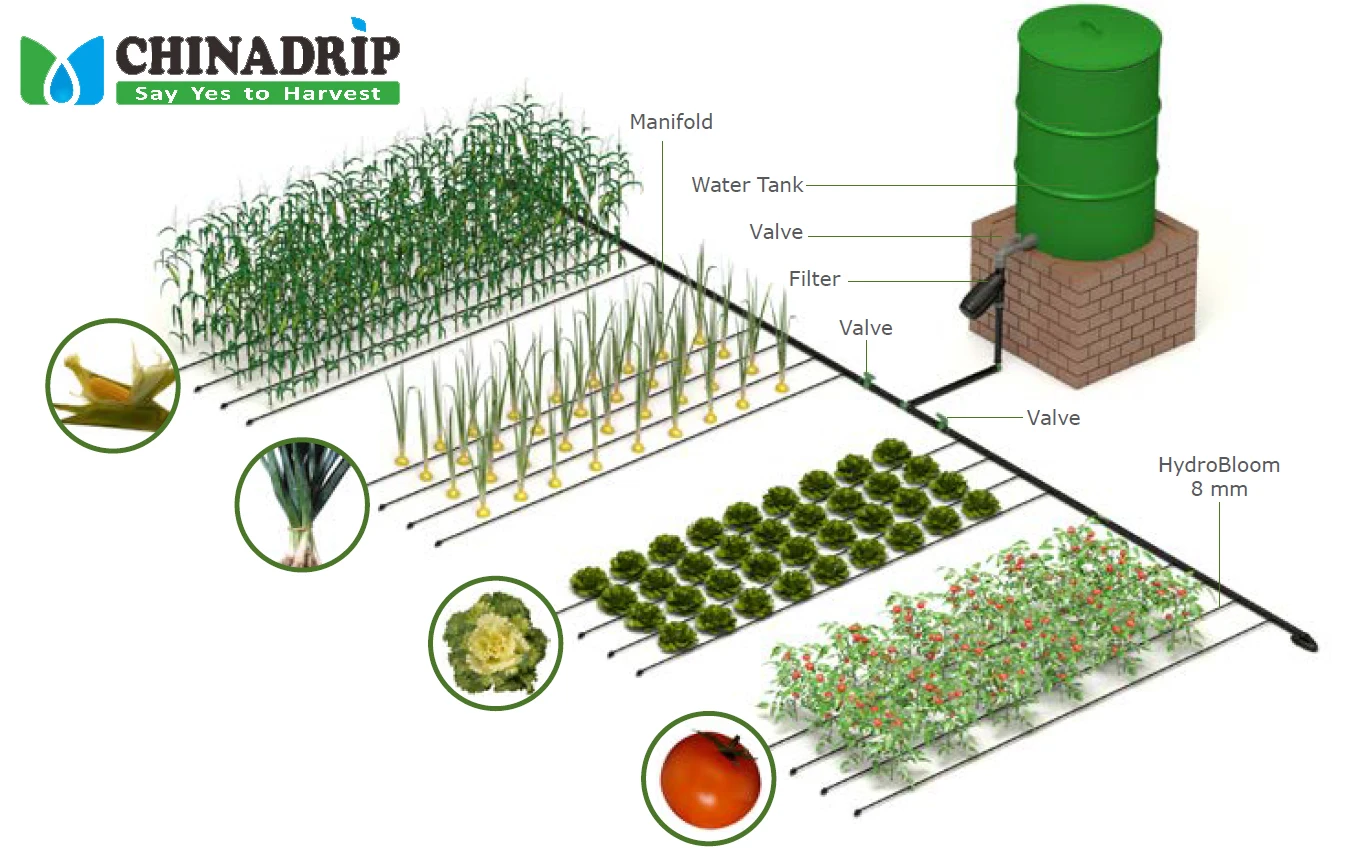 Drip Irrigation System Design Gravity Drip T Drip Tape in Agricultural