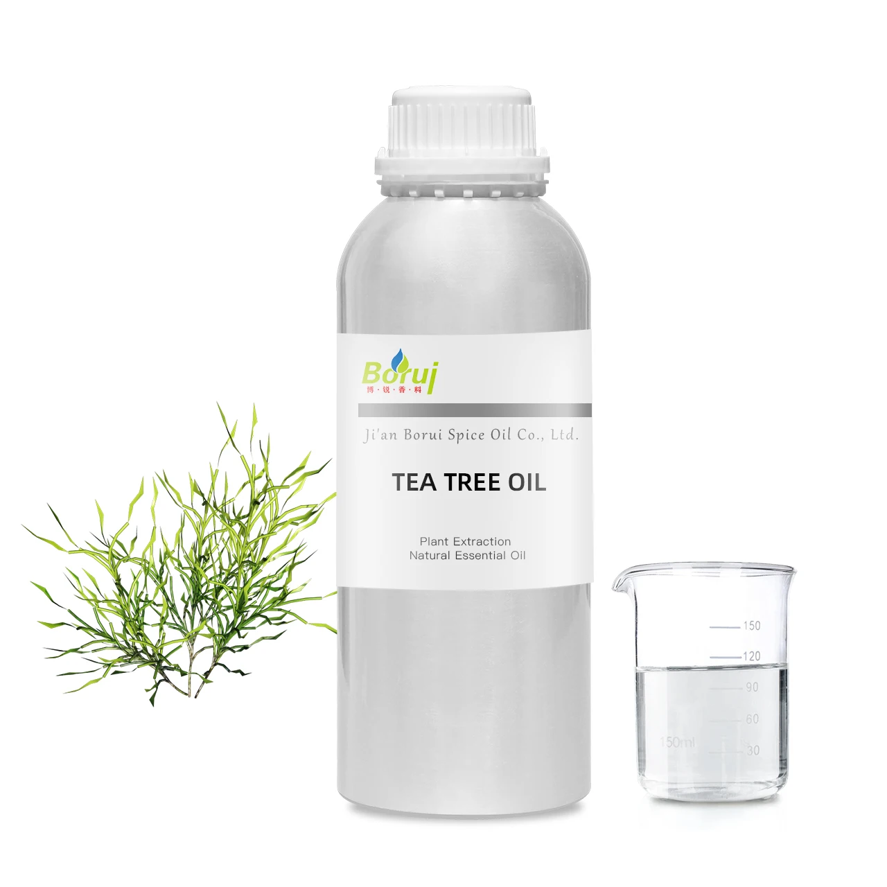 

organic natural pure tea tree oil for acn