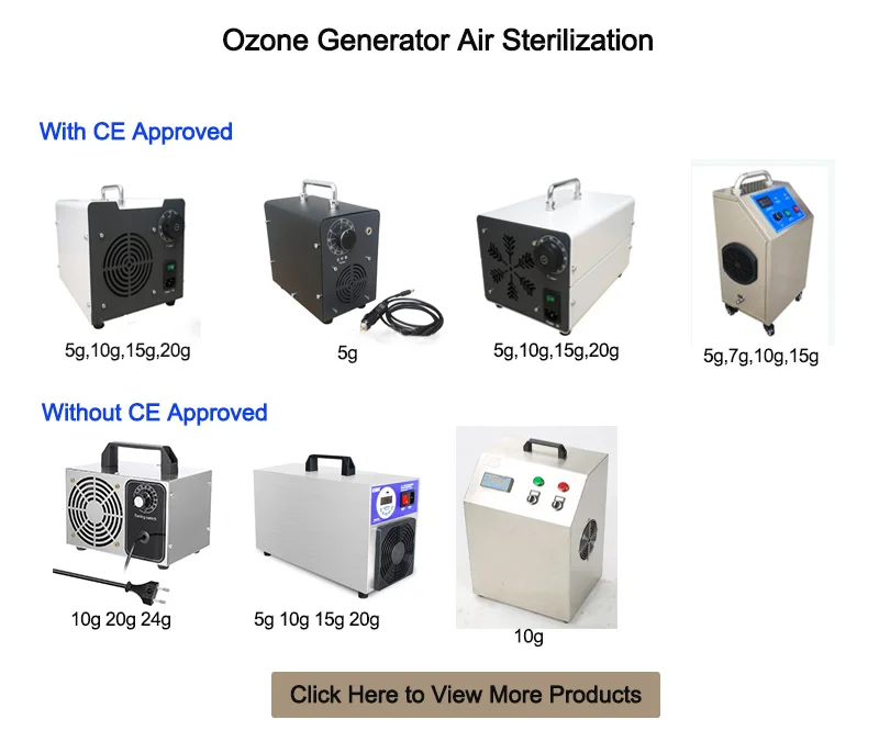 Professional Ozone Generator 12v Portable 10g 20g 24g China Home Car