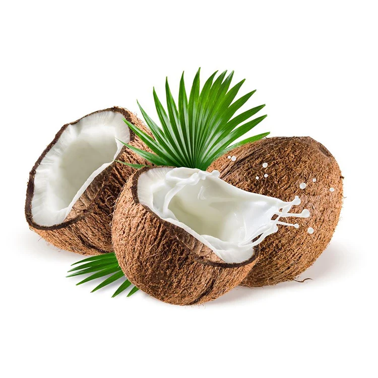 
Organic Pure Coconut Milk Powder for Bulk 