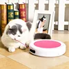 New product 2019 battery operated toy cat cat toys interactive scratcher intelligence toy