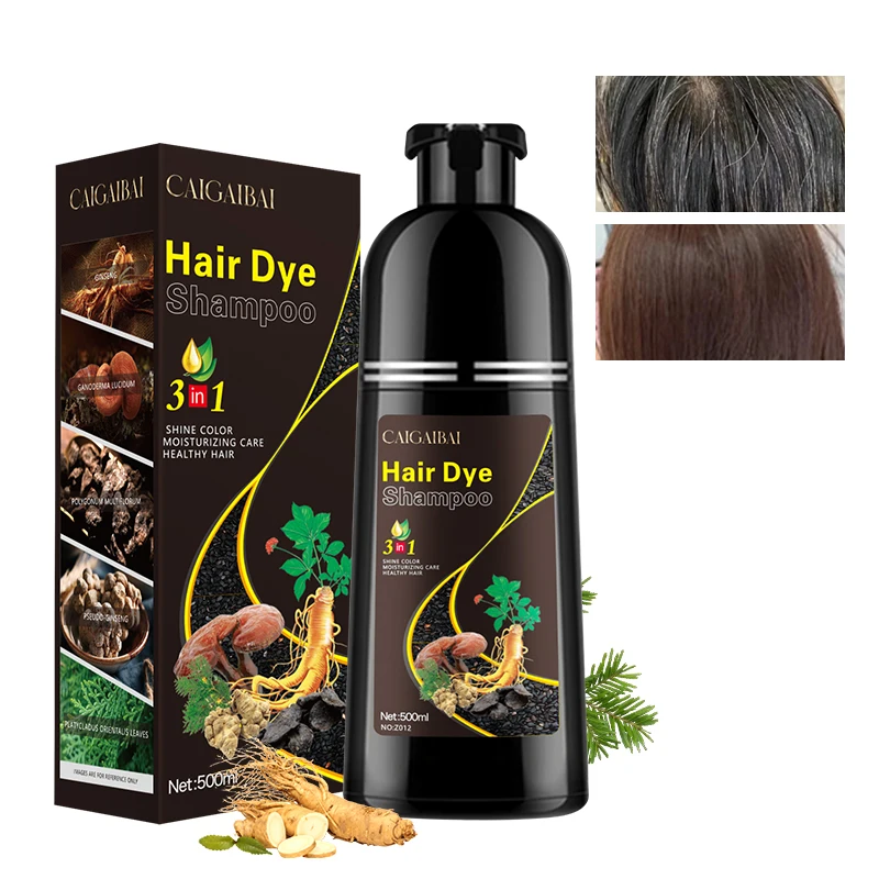 Oem Chinese Black Hair Dye Shampoo 3 in 1 Permanent Hair Color Shampoo Hair Coloring Agent