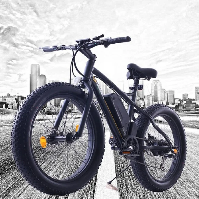 

Ecotric wholesale ebike 500 w fatbiek long range ebike switzerland for man