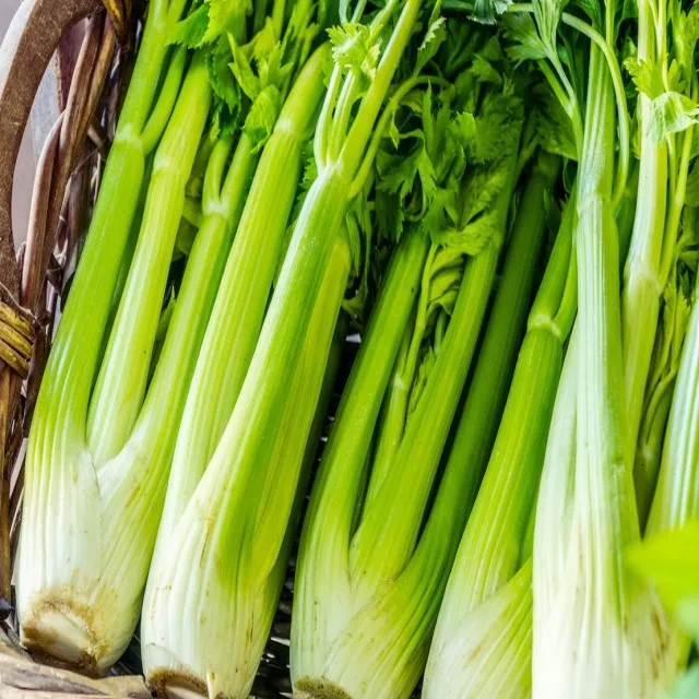 
FRESH VEGETABLES FRESH CELERY CABBAGE - contact now to get the BEST DEAL 
