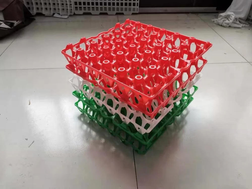 
best price plastic egg tray for chicken eggs 30 chicken eggs tray 