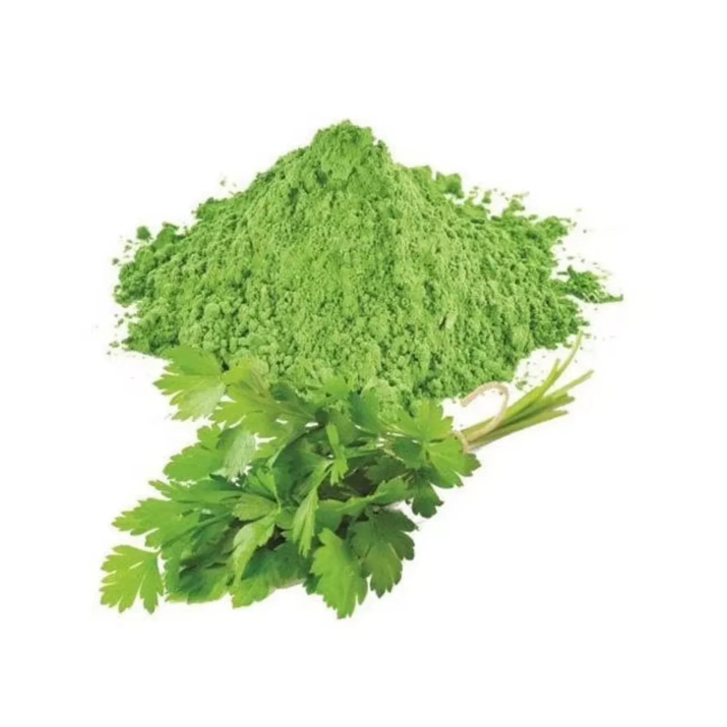 Coriander Powder - Wholesale Bulk & Private Label Hd072d82db8b7485e9f57936ed1736439d