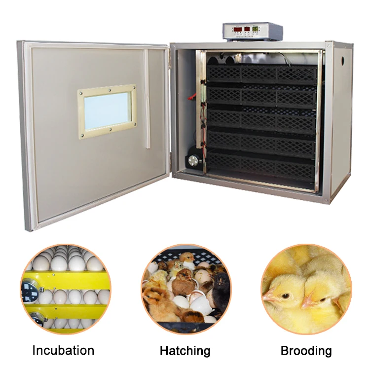 180 egg incubator-18.jpg