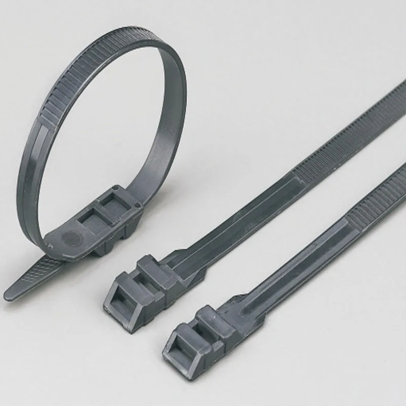 china eco-friendly double locking cable ties nylon black 10 inch