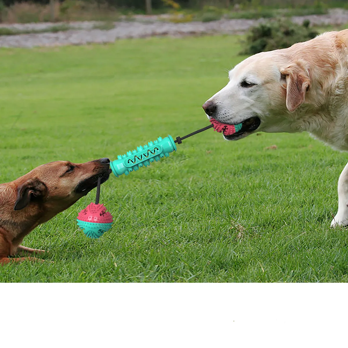 

Pet toys rally dumbbell ball resistant to biting teeth cleaner teeth leaking ball dog toothbrush cleaning dog chews