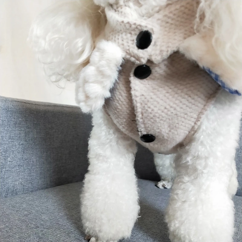 Wholesale Korean Dog Clothes Funny Dog Costume Chinese Crested Dog