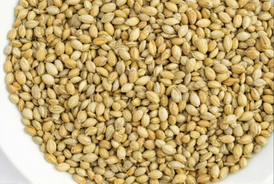 Sweet Fennel Seeds