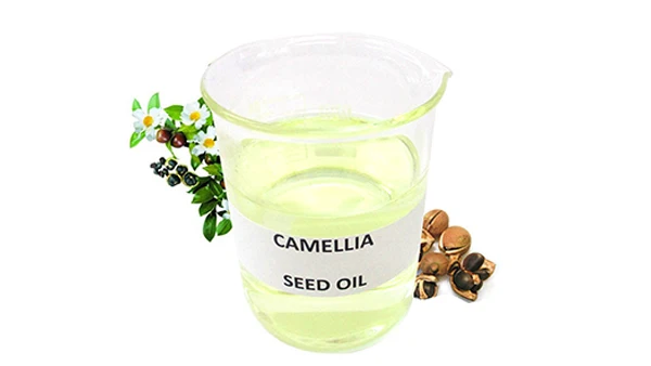 
Wholesale high quality pure natural cold pressed camellia seed carrier oil 