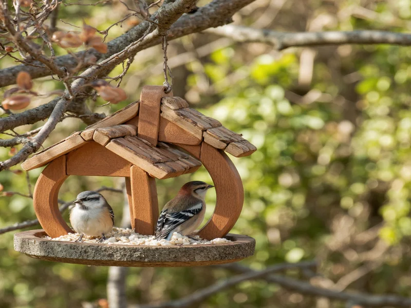 handmade bird feeders