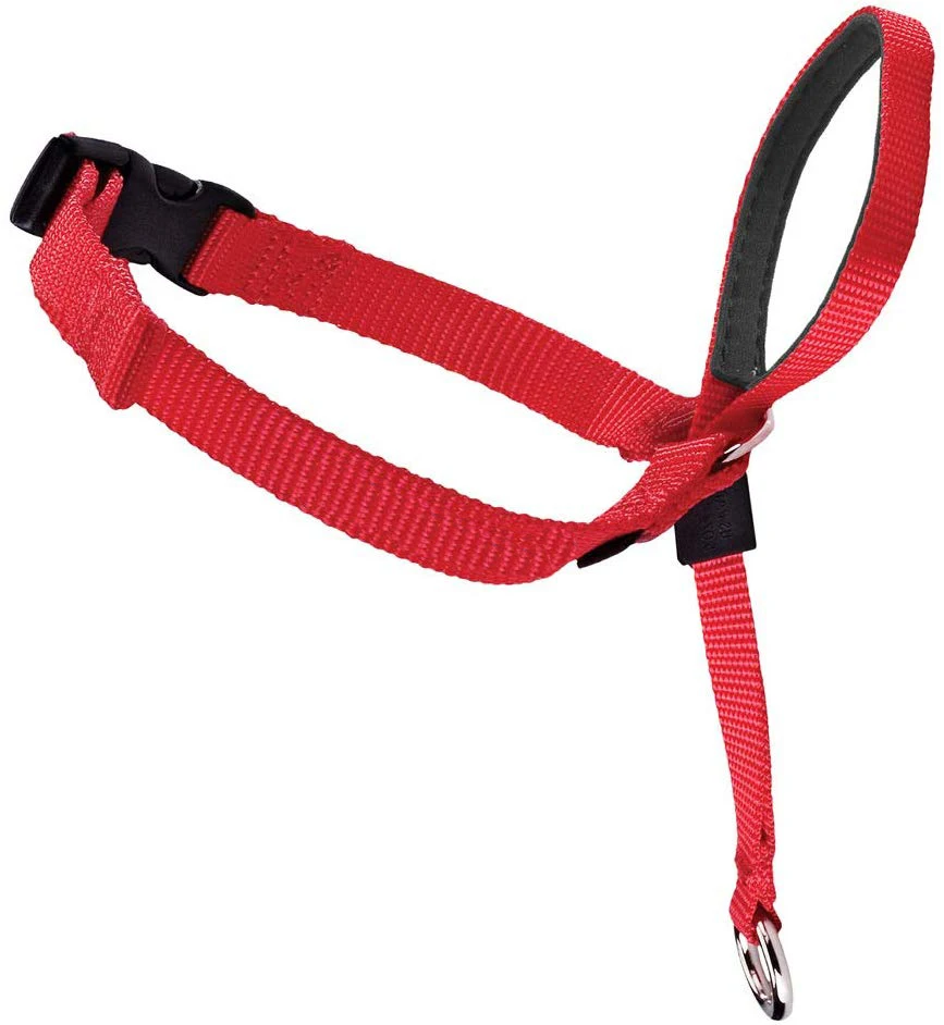 

Adjustable Soft Nylon Dog Head Collar Halter, Neoprene Padded Dog Train Head Halter Collar, Black, grey or customized