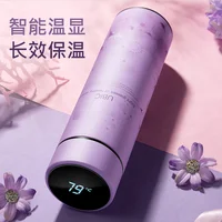 

Stainless Steel Thermos LED Temperature Display Smart Water Bottle