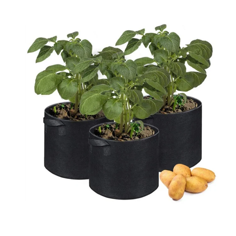 

cheapest agriculture biodegradable pot 100 150 400 500 gallon tomato potato plant growing plant felt grow bags for garden, Green/black