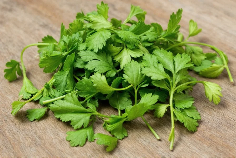 Cilantro Dehydrator Products