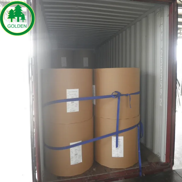 
C1S Coated Ivory Board/ FBB/ Bristol Paper Roll 