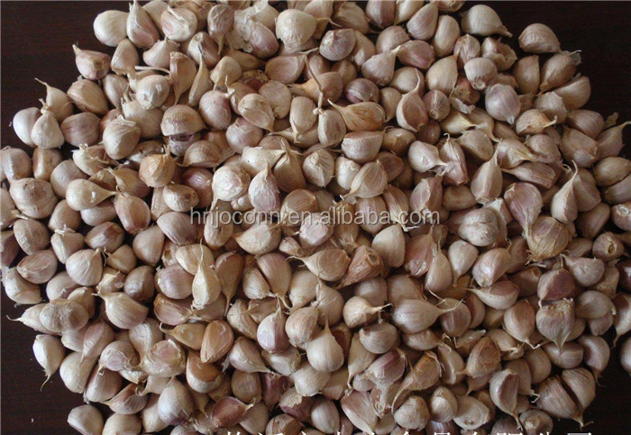 garlic peeling machine08.jpg