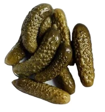 
Pickled cucumber (cornichons) in Bulk barrels Grade 160/300 